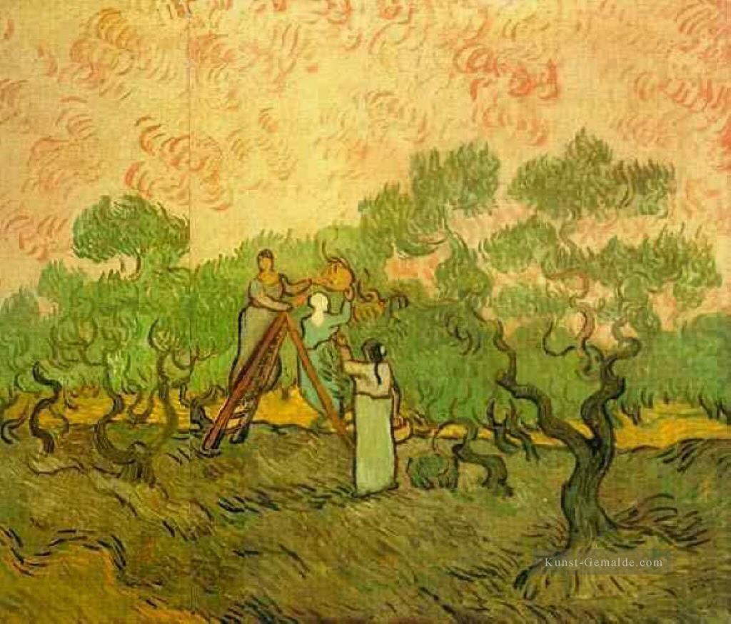 Olive Picking Vincent van Gogh Ölgemälde